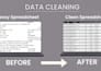 clean your excel data and organize it professionally